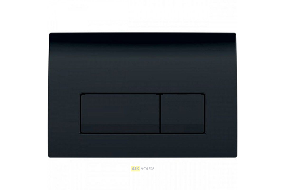 Клавиша смыва Geberit Delta 50 115.119.DW.1 черная глянцевая