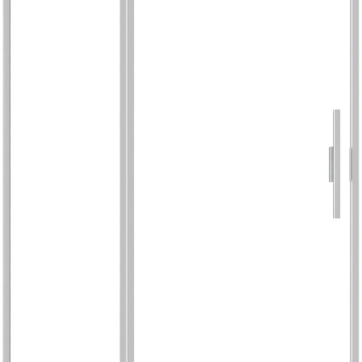 Душевая дверь Allen Brau Priority 100 3.31029.BA серебро браш